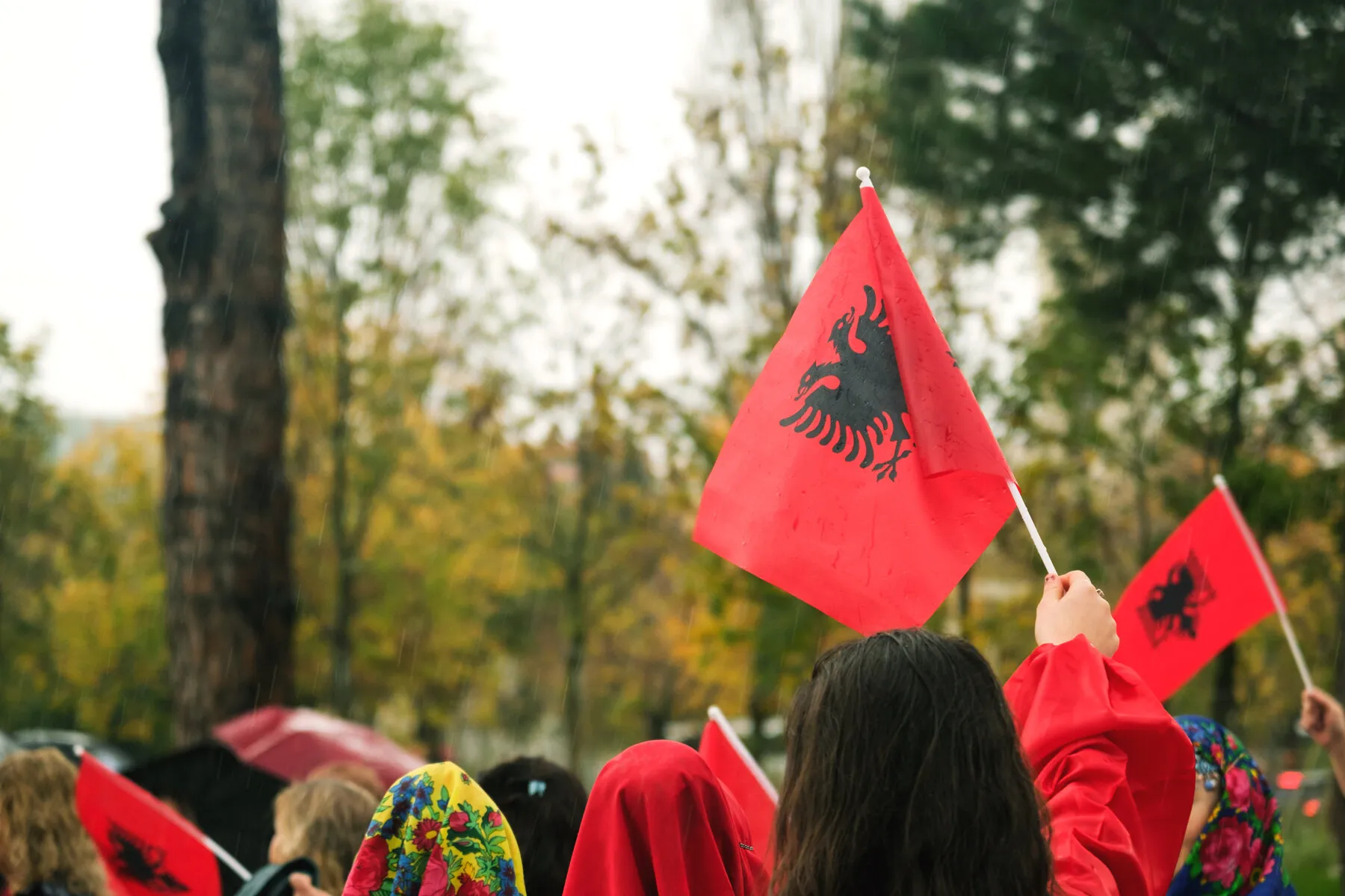People holding Albanian flags at an outdoor community gathering